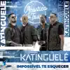 Katinguelê - Impossível Te Esquecer (Acústico da Trans) - Single